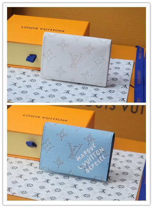 Picture of Louis Vuitton Wallets _SKUfw220045072fw